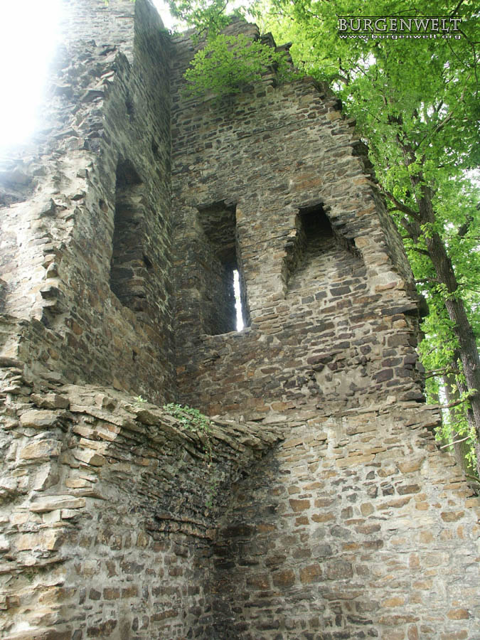 Burgenwelt Burg Luttelnau, Kettenturm Deutschland