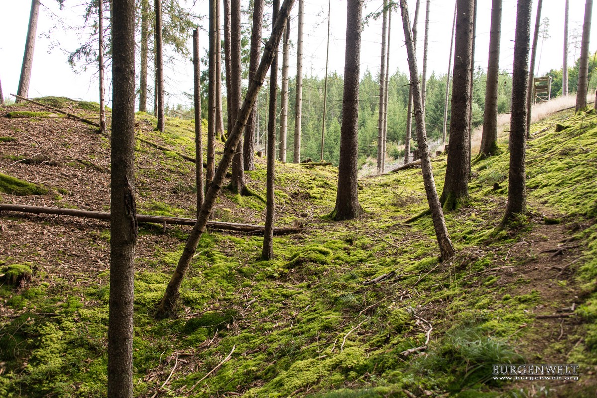 Burgenwelt Burgstall Altneuhaus Deutschland