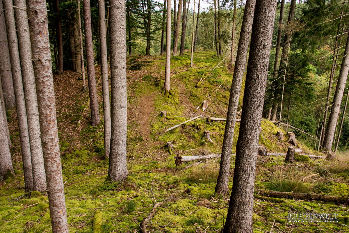 Burgenwelt Burgstall Altneuhaus Deutschland