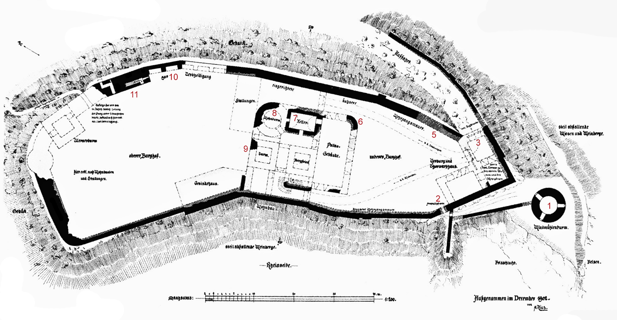 Grundriss Burg Hammerstein von 1902 nach A. Nies.