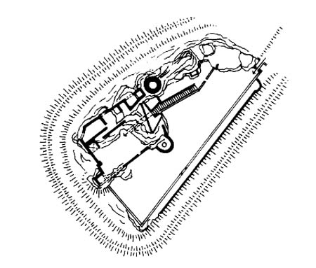 Grundriss der Burganlage.