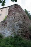 Tor