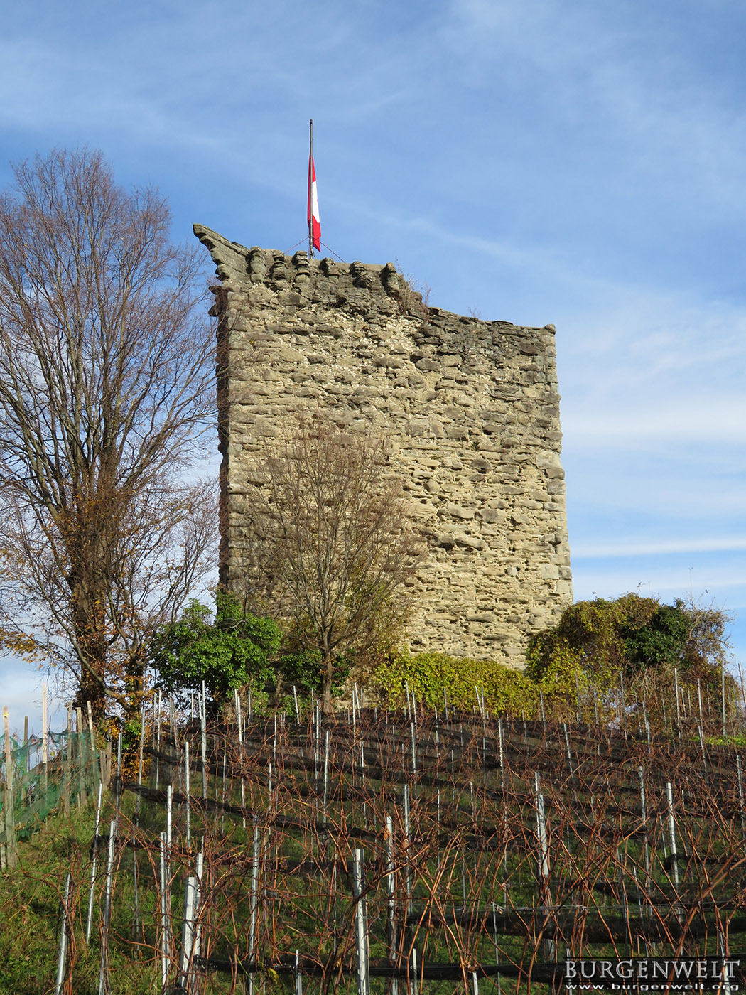 Burgenwelt AltRheineck Schweiz