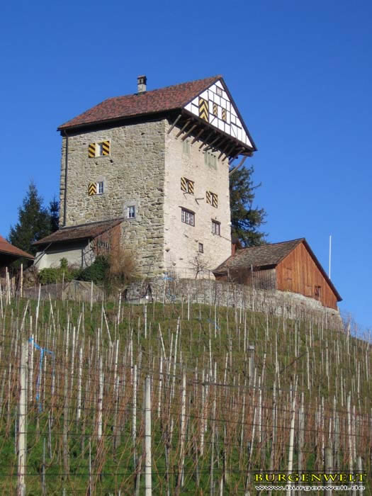 Burgenwelt Neu Altst tten Schweiz Burgenwelt Neu Altst tten Schweiz